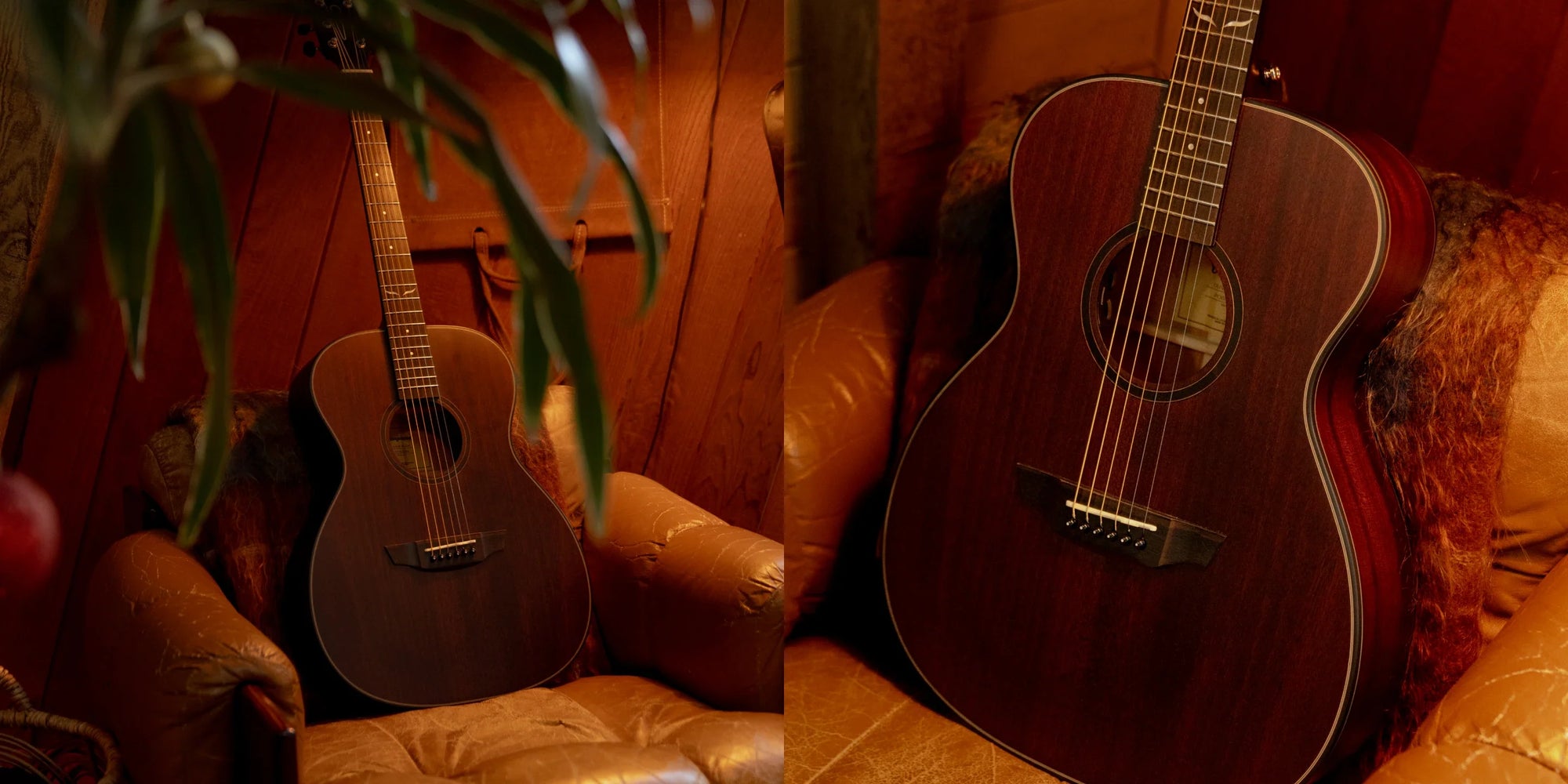 Mahogany grand concert guitar in a blue frame